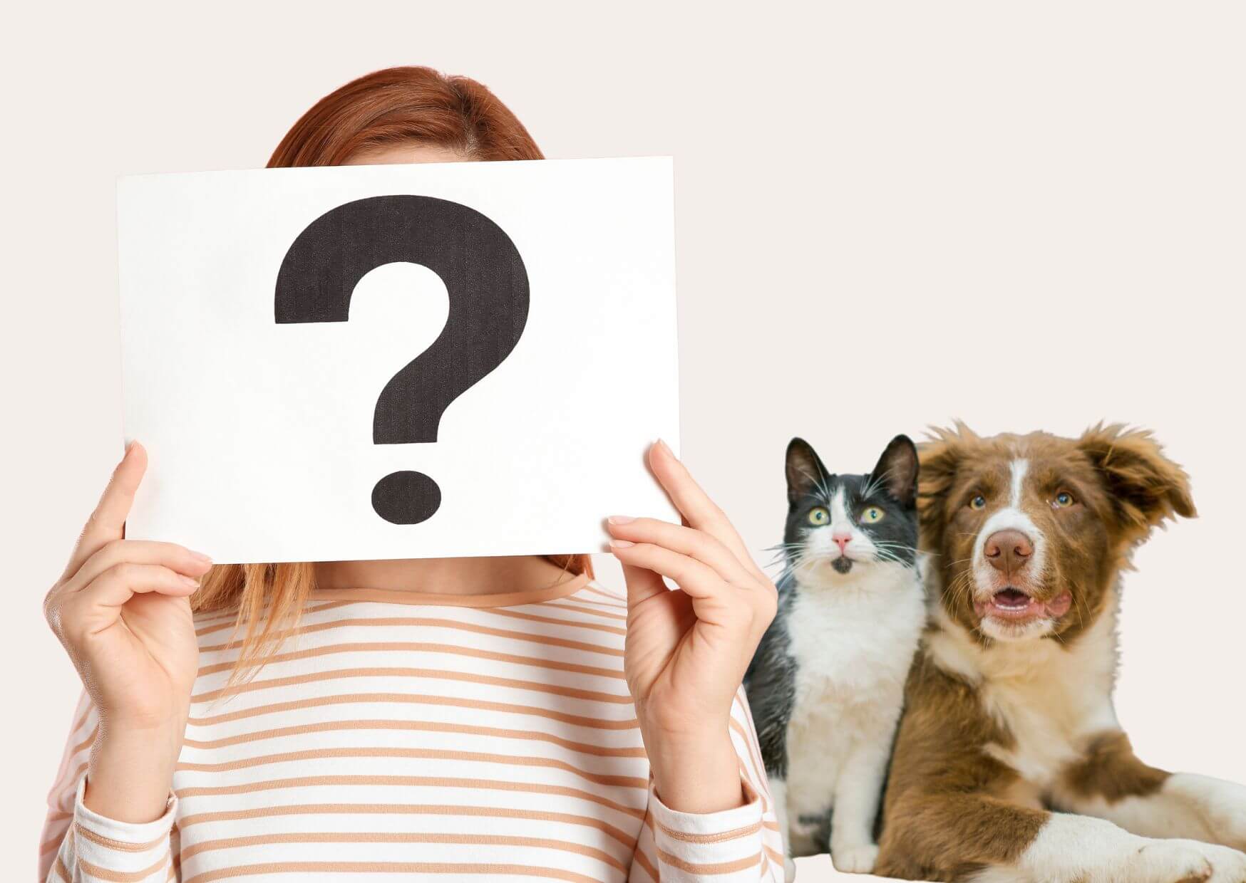 FAQ Ernährungsberatung | Person mit Fragezeichen, Hund und Katze im Hintergrund