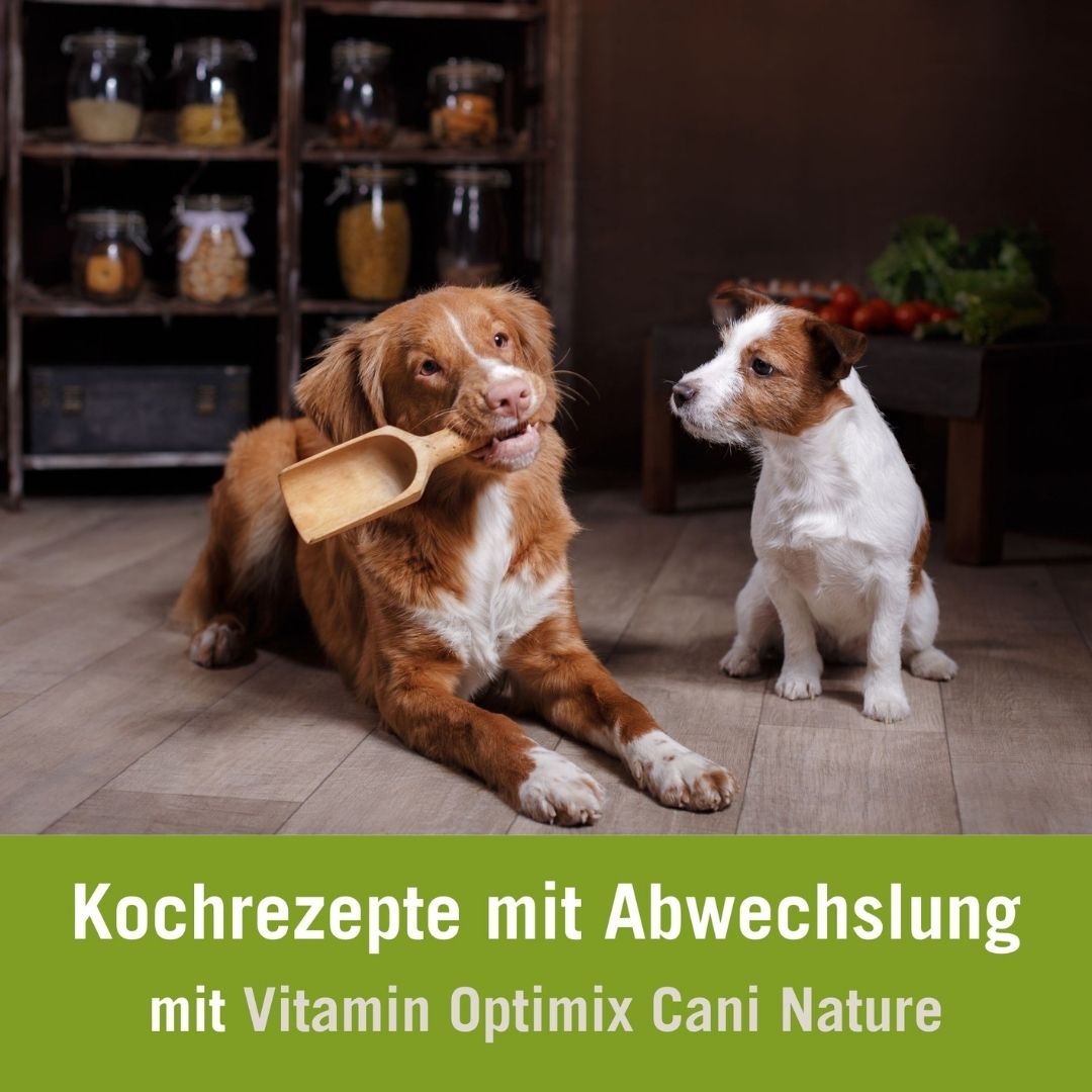 Futterplan Kochen für Hunde I Kochrezept mit Abwechslung| Vitamin Optimix Cani Nature | Terrier und brauner Hund mit Löffel im Mund
