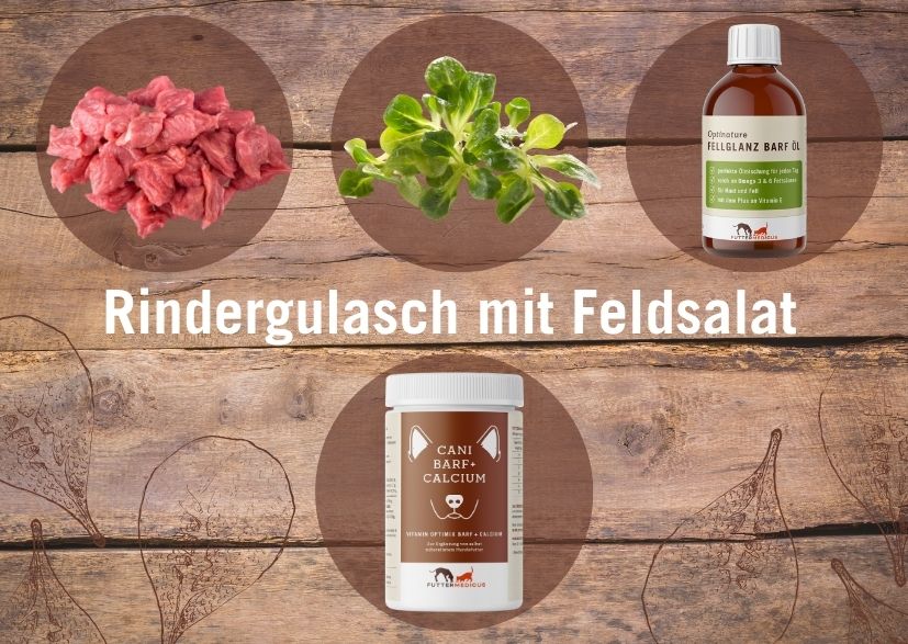 BARF-Rezepte Hund I Rindergulasch mit Feldsalat