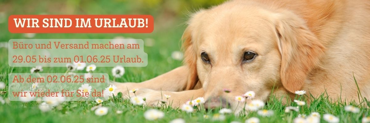 Wir sind am 29.5 .25 bis zum 1.6.25 im Urlaub