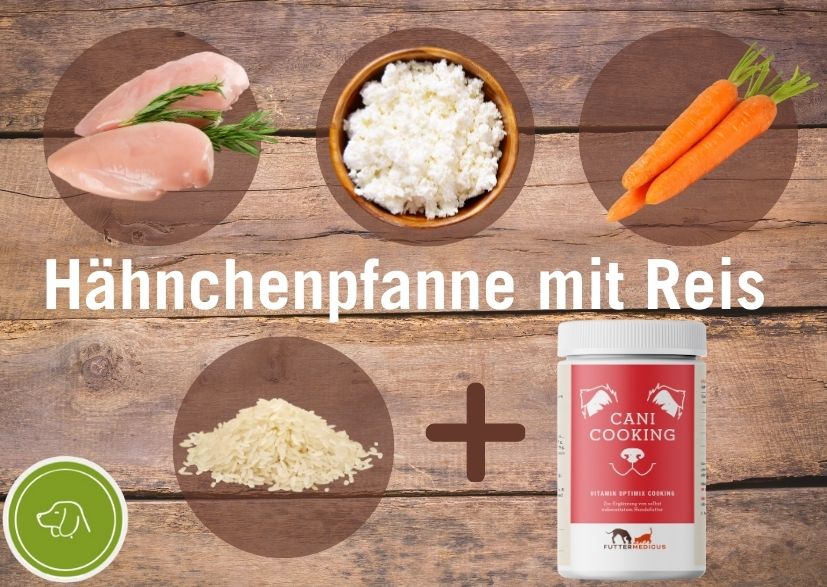 Kochrezepte Hund I Hänchenpfanne mit Reis und Karotten
